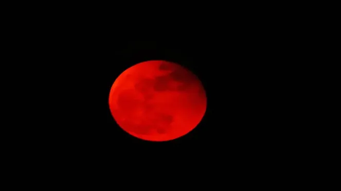 Blood Moon